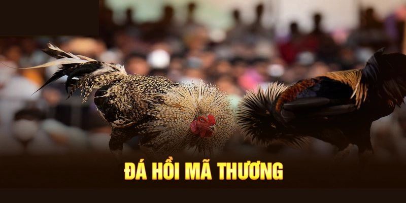 Đá hồi mã thương